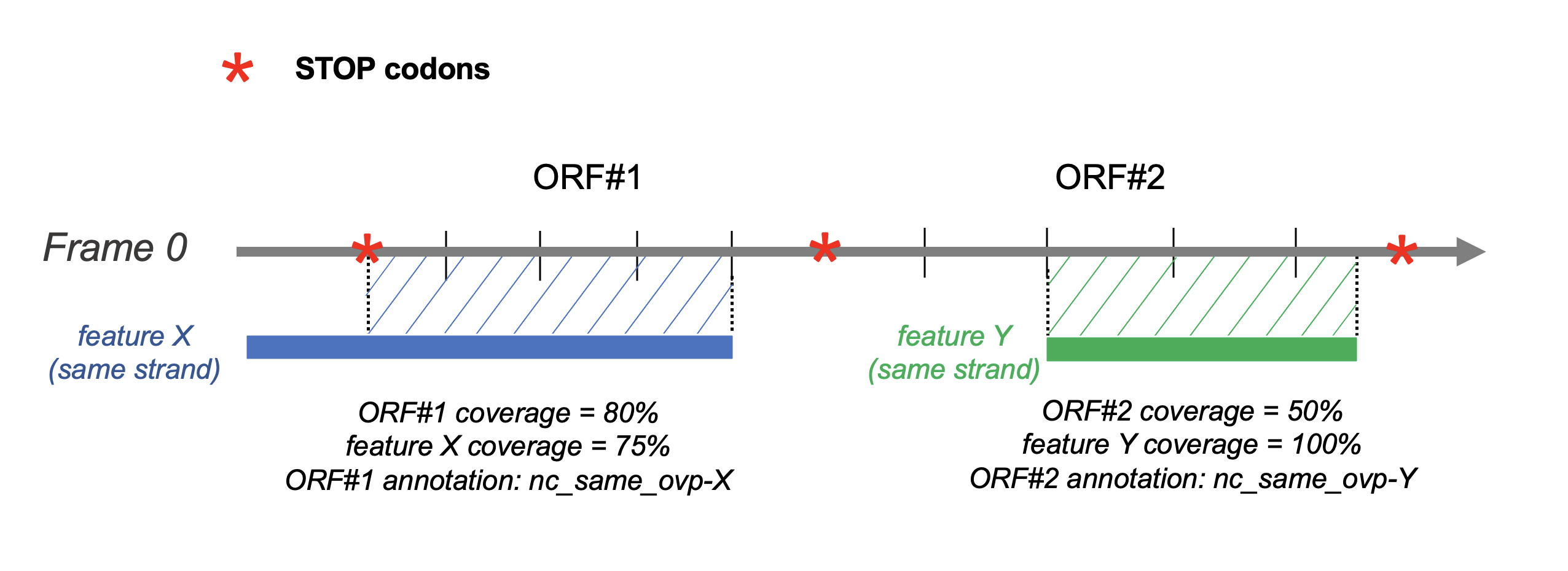 Overlap definition