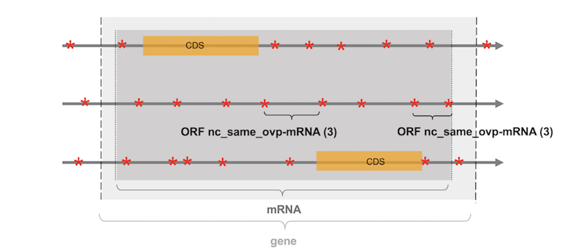 priority_gene_vs_mRNA